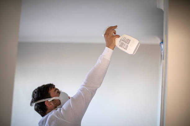 Best Local Mold Removal Service  in Havelock, NC