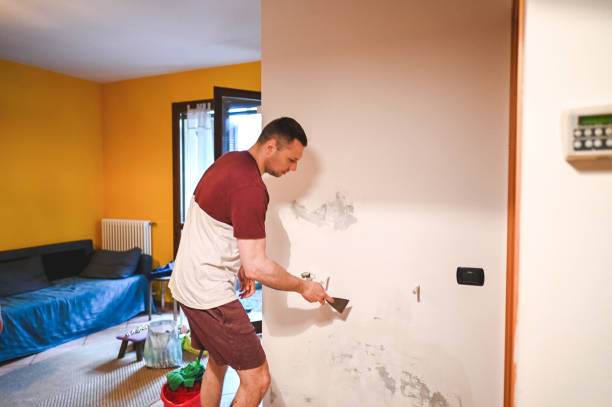 Best Mold Remediation Experts  in Havelock, NC